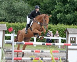 jumper Quite cool's foxy (Westphalian, 2011, from Henkel's Quitecool)