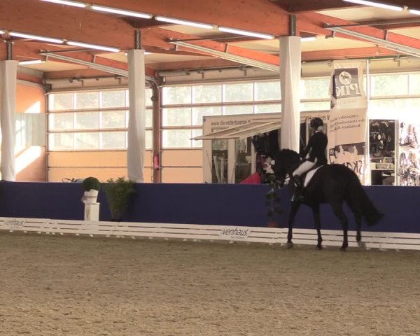 Reitturnier Isterberg 2018
