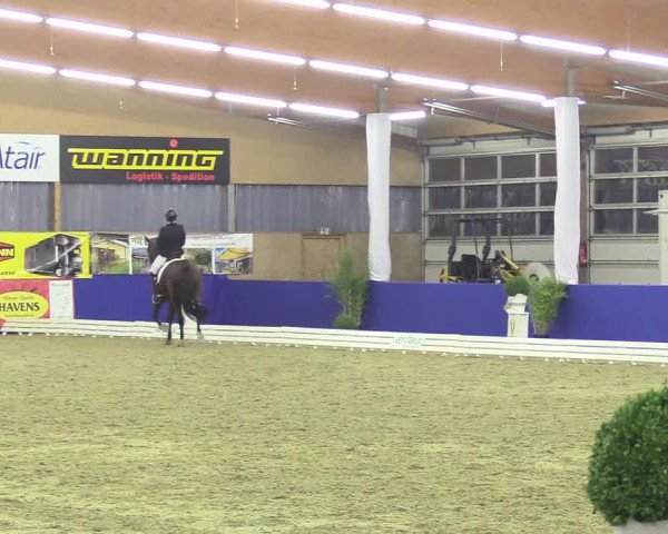 Reitturnier Isterberg 2018