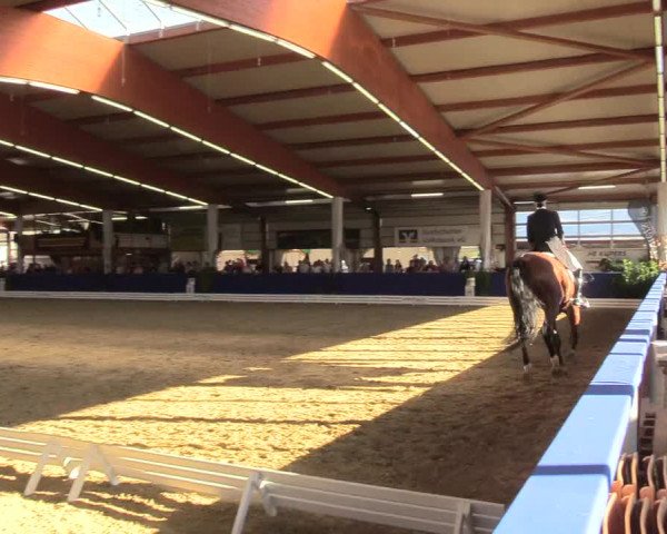 Reitturnier Isterberg 2018