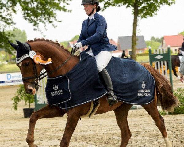 dressage horse Fionn (Westphalian, 2002, from Florestan I)