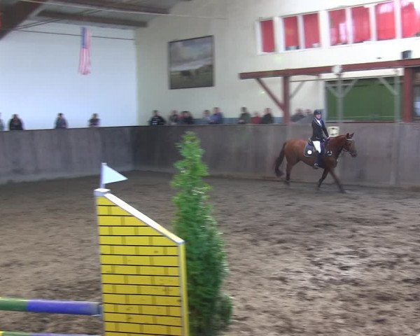 Reitturnier St. Peter Ording 2018