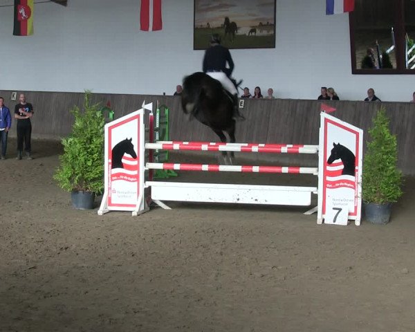 Reitturnier St. Peter Ording 2018