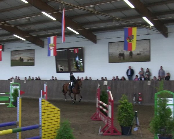 Reitturnier St. Peter Ording 2018