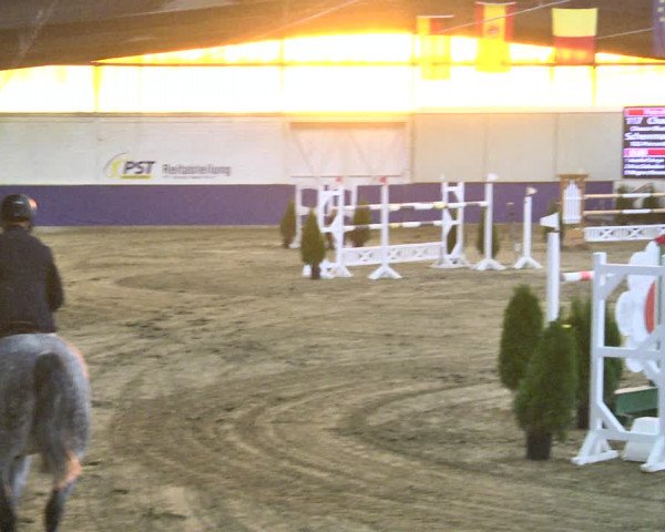 Reitturnier Trier - Hofgut Monaise / Halle 2018