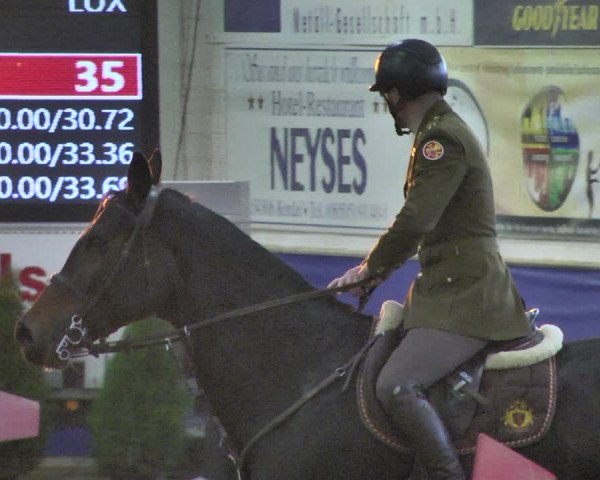 Reitturnier Trier - Hofgut Monaise / Halle 2018