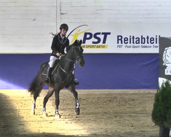 Reitturnier Trier - Hofgut Monaise / Halle 2018