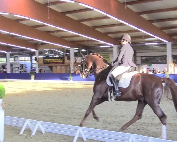 Reitturnier Isterberg 2018