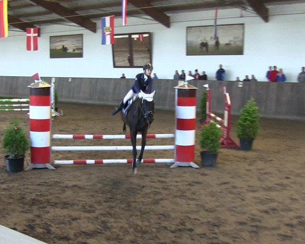 Reitturnier St. Peter Ording 2018