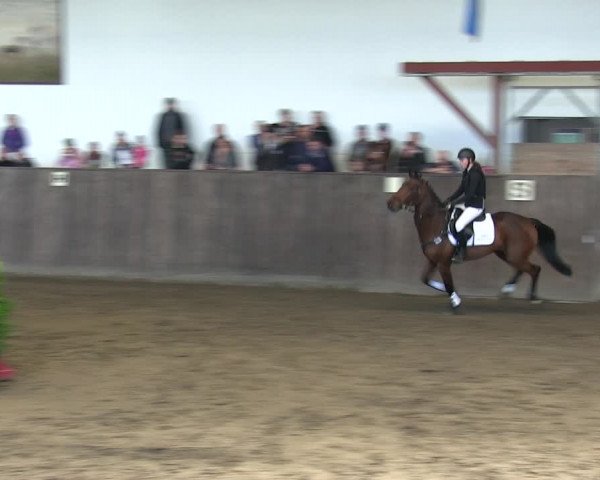Reitturnier St. Peter Ording 2018