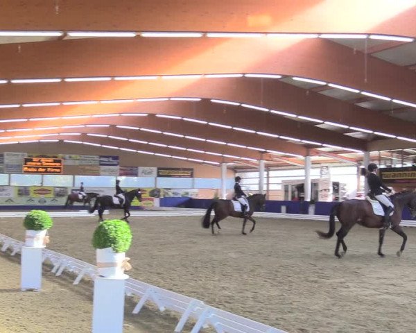 Reitturnier Isterberg 2018