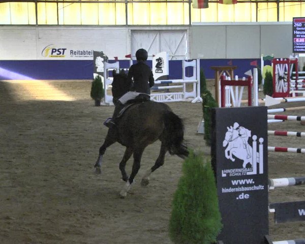 Reitturnier Trier - Hofgut Monaise / Halle 2018