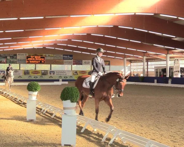 Reitturnier Isterberg 2018