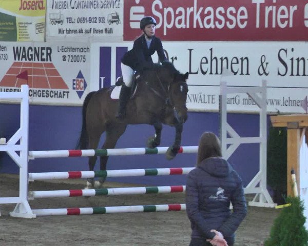 Reitturnier Trier - Hofgut Monaise / Halle 2018