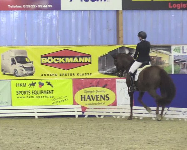 Reitturnier Isterberg 2018