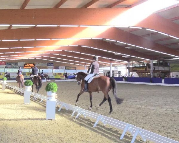 Reitturnier Isterberg 2018