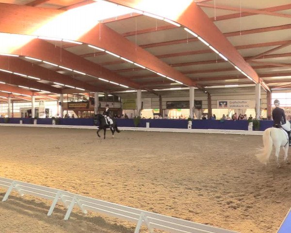 Reitturnier Isterberg 2018