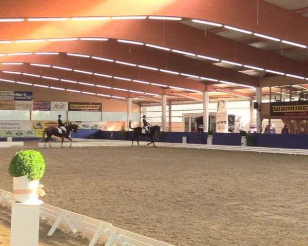 Reitturnier Isterberg 2018