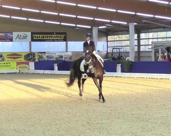Reitturnier Isterberg 2018