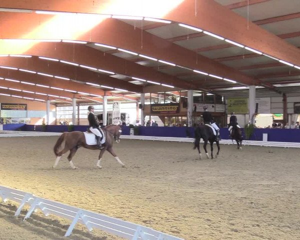 Reitturnier Isterberg 2018