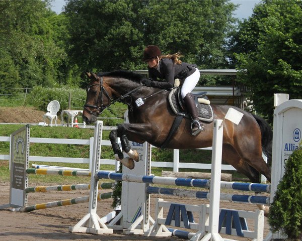 jumper Deniz-Vanessa VHV (KWPN (Royal Dutch Sporthorse), 2008, from Montender) jumper Deniz-Vanessa VHV (KWPN (Royal Dutch Sporthorse), 2008, from Montender)