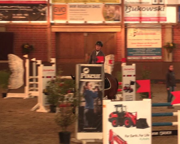 Reitturnier Hüllhorst 2018