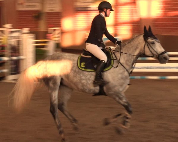 Reitturnier Hüllhorst 2018