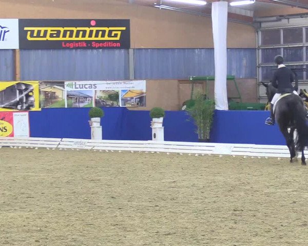 Reitturnier Isterberg 2018