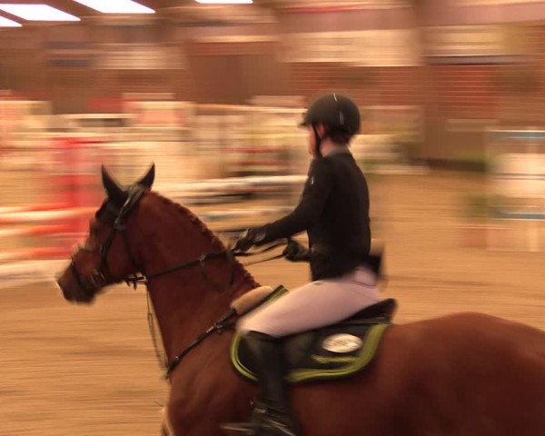 Reitturnier Hüllhorst 2018