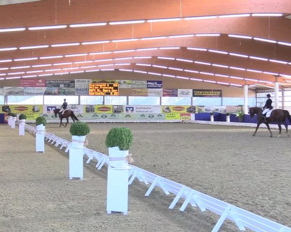 Reitturnier Isterberg 2018