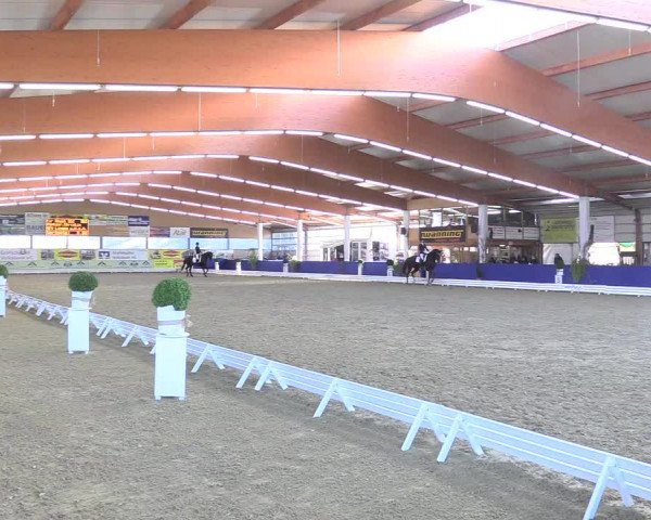 Reitturnier Isterberg 2018