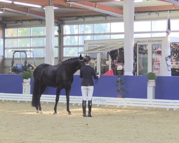 Reitturnier Isterberg 2018