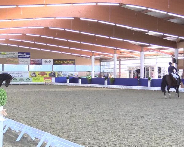 Reitturnier Isterberg 2018