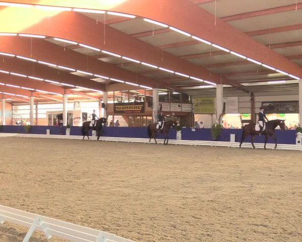 Reitturnier Isterberg 2018