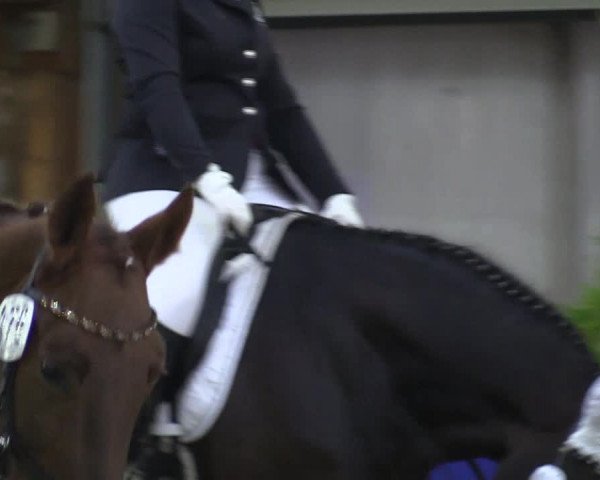 Reitturnier Isterberg 2018