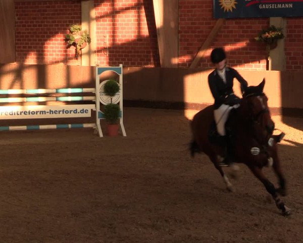 Reitturnier Hüllhorst 2018