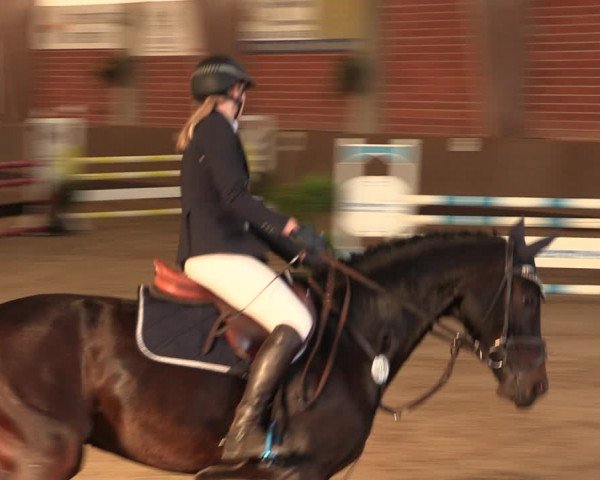 Reitturnier Hüllhorst 2018