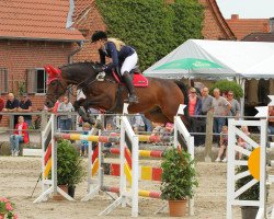jumper Stakkatos Goldschatz (Oldenburg, 2005, from Stakkato Gold)