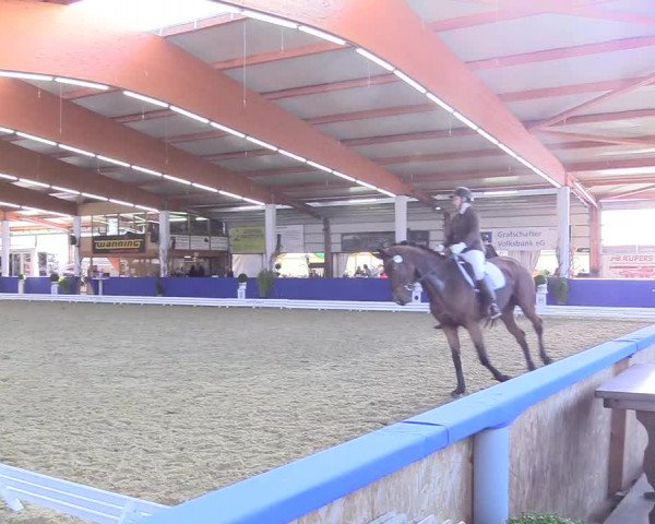 Reitturnier Isterberg 2018