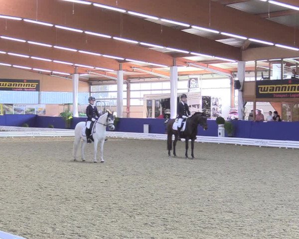 Reitturnier Isterberg 2018