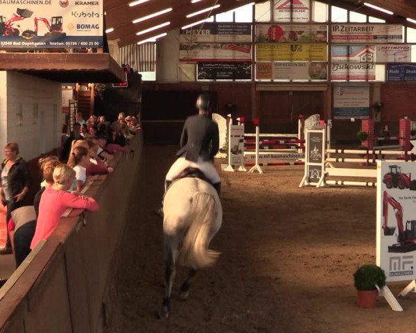 Reitturnier Hüllhorst 2018
