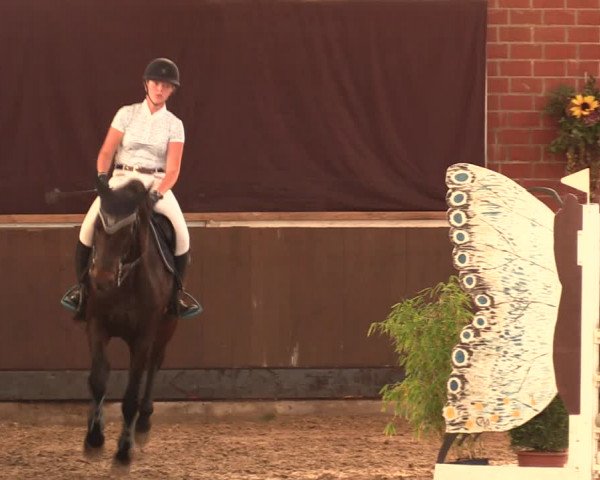 Reitturnier Hüllhorst 2018