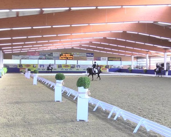 Reitturnier Isterberg 2018