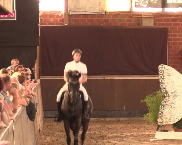 Reitturnier Hüllhorst 2018