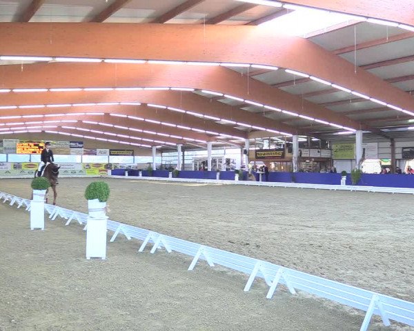 Reitturnier Isterberg 2018