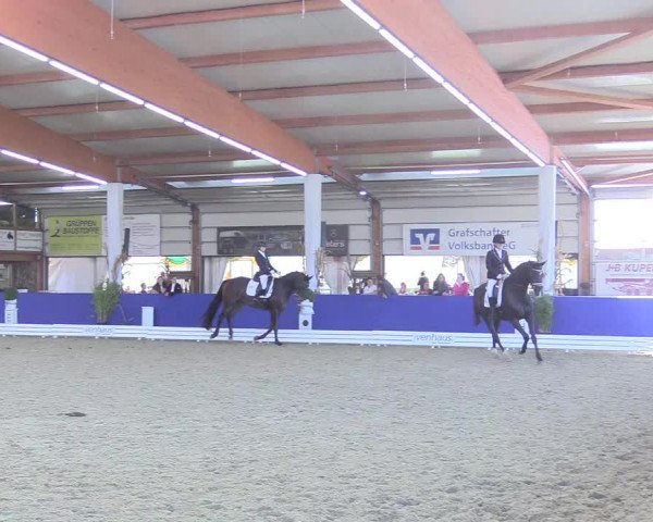Reitturnier Isterberg 2018