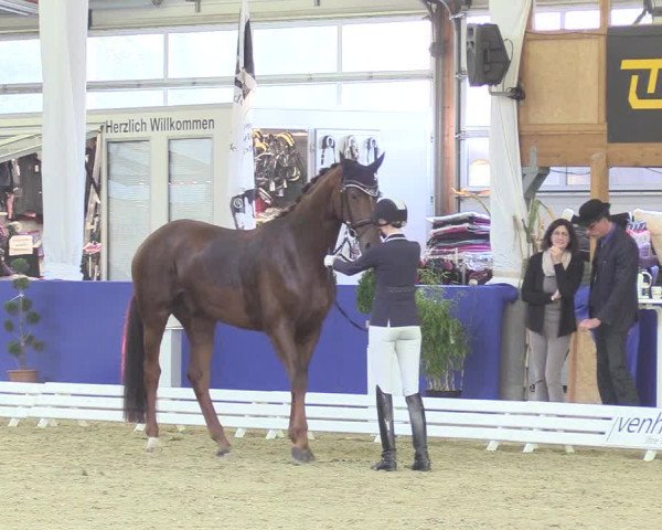 Reitturnier Isterberg 2018