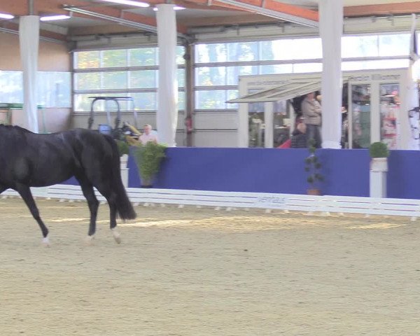 Reitturnier Isterberg 2018