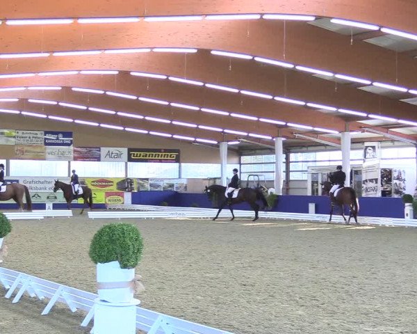 Reitturnier Isterberg 2018