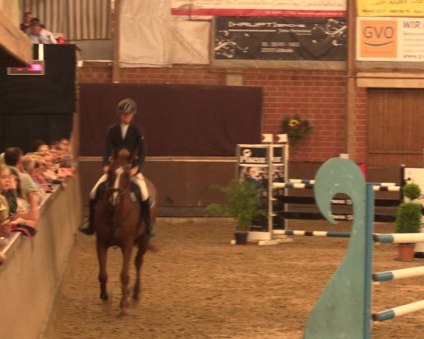 Reitturnier Hüllhorst 2018
